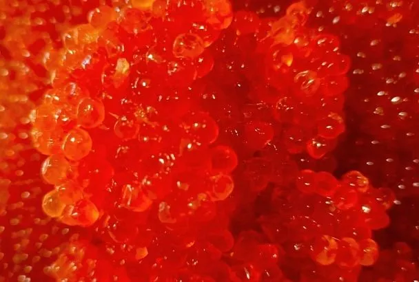 Роскачество обнаружило кишечную палочку в икре пяти торговых марок