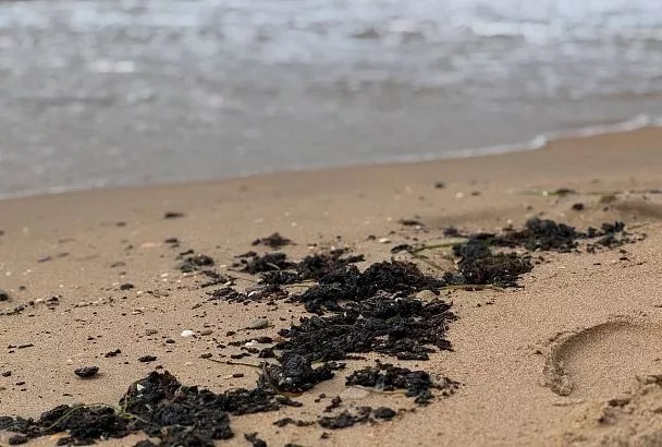 На побережье в Веселовке возводят защитный вал после выброса мазута