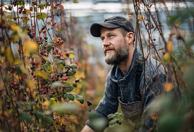 Что делать с малиной осенью: советы садоводам