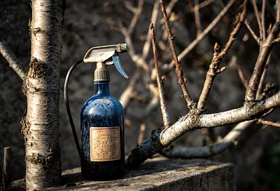 Нужно ли повторять искореняющую обработку сада весной, если делали осенью