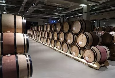 На Кубани прогнозируют рост числа гостиничных номеров при винодельнях 