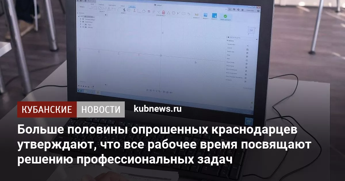 Больше половины опрошенных краснодарцев утверждают, что все рабочее время посвящают решению профессиональных задач