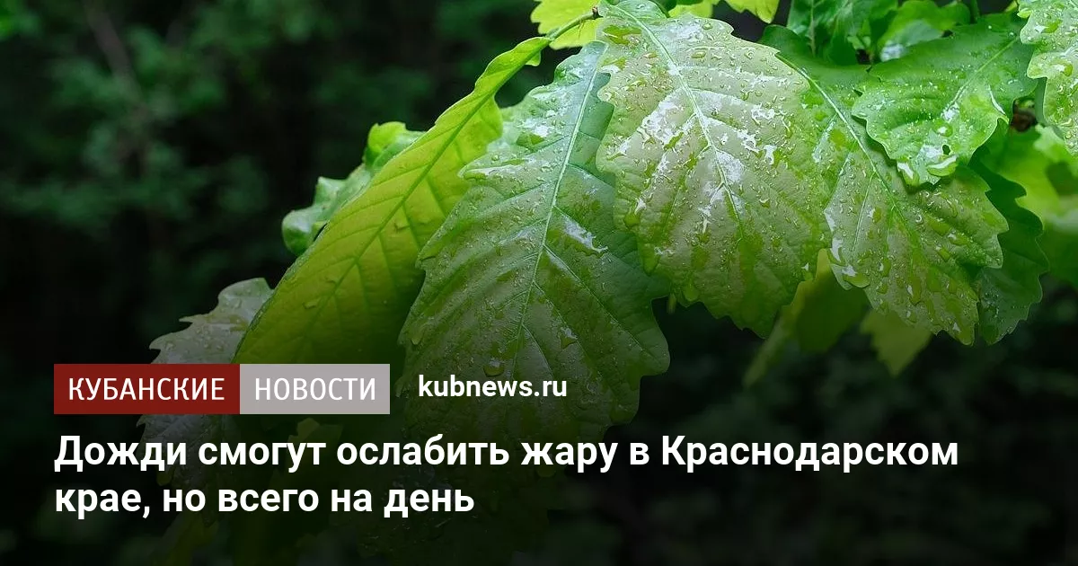 Дожди смогут ослабить жару в Краснодарском крае, но всего на день