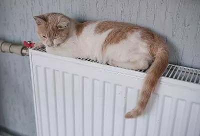 Отопительный сезон в Сочи завершится 15 апреля