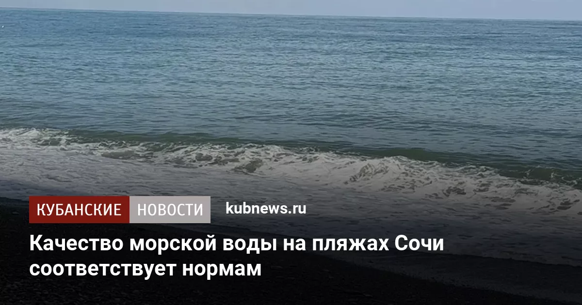 Качество морской воды на пляжах Сочи соответствует нормам