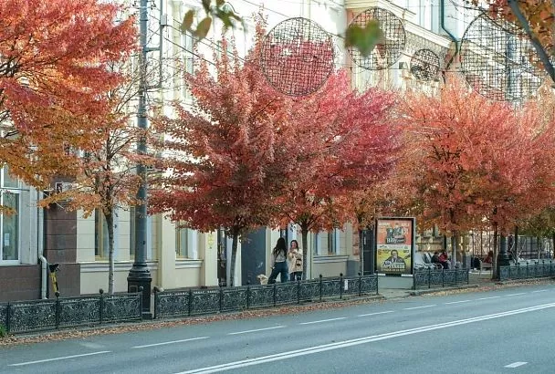 Чего ждать от погоды в выходные в Краснодаре