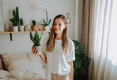 5 растений для спальни ставлю без сомнений: выбираю «кислородников» и виды с плотными листьями