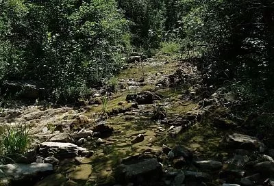 Сочи и Красная Поляна вошли в топ-5 популярных направлений для отдыха на природе в марте