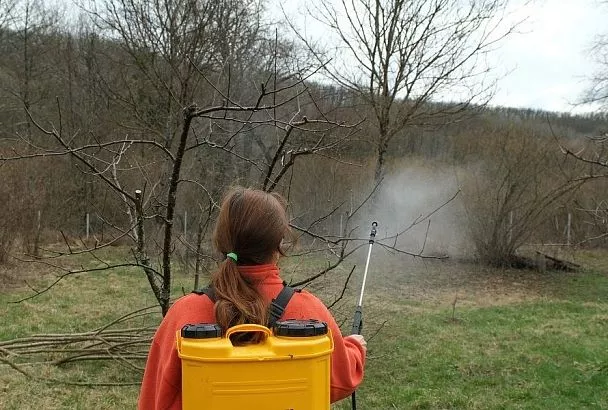 Важна каждая минута: минимальное время для эффективной защиты между обработкой растений и дождем