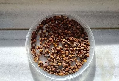 Каждое утро начинаю со стакана воды и 4 зернышек перги. Как повлияет на ваше здоровье эта привычка