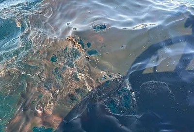 Площадь утечки нефтепродуктов в Черном море в составляет 350 кв. км  