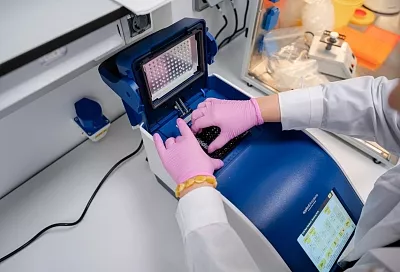 Генетики «Сириуса» выяснили, кто жил в столице Золотой Орды 700 лет назад