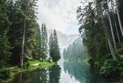 В 2025 году под особую охрану и защиту взяли более 19 тысяч гектаров природной территории Краснодарского края