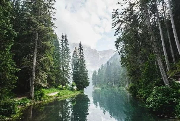 В 2025 году под особую охрану и защиту взяли более 19 тысяч гектаров природной территории Краснодарского края