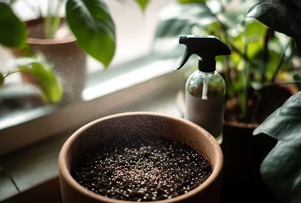 Как правильно использовать биопрепараты с сенной палочкой и триходермой