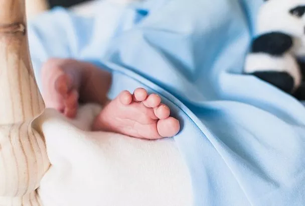 Две двойни родилось за сутки в Краснодарском крае