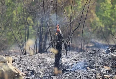 Пожар под Геленджиком полностью ликвидирован