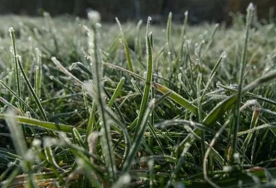 Возвратные заморозки ожидаются в Крыму 