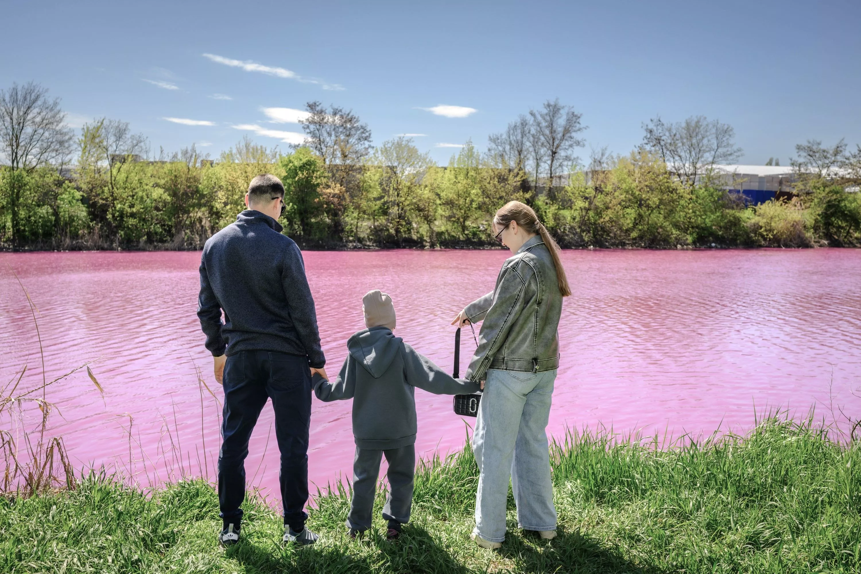 Как в сказке: озеро в Краснодаре стало розовым 