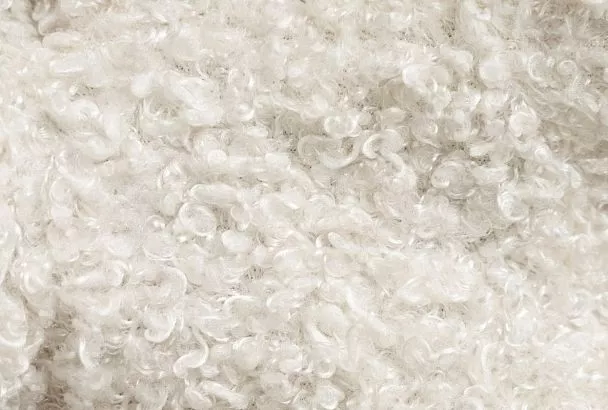 Ученые создали эффективные катализаторы для очистки воздуха и воды с помощью овечьей шерсти