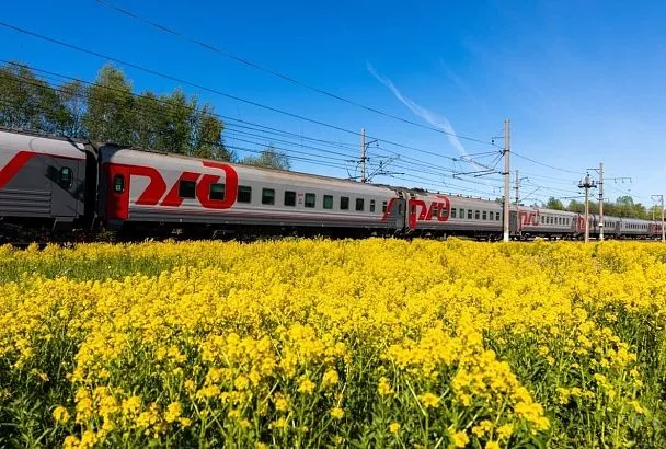Поезд «Гастротур» вновь приедет на Кубань: в 2026 году он сделает три рейса