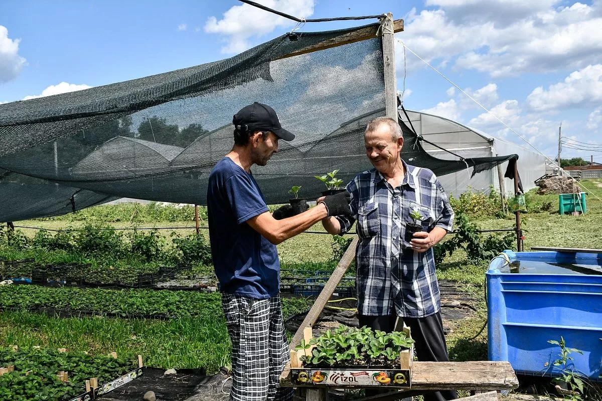 В планах Елены - построить теплицы на всей своей земле. В планах Елены - построить теплицы на всей своей земле.