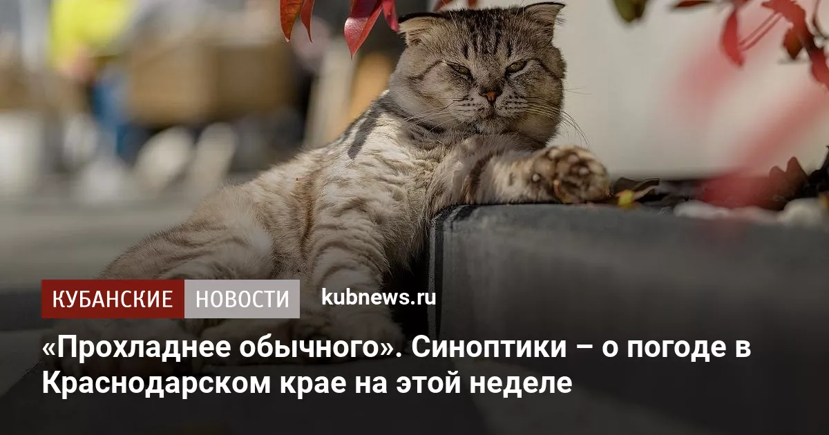 «Прохладнее обычного». Синоптики – о погоде в Краснодарском крае на этой неделе