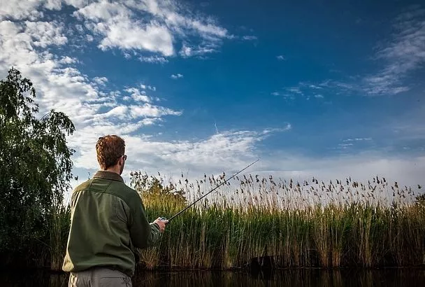 Выбираю такое удилище для капризного карася – и он ловится как сумасшедший (даже в изменчивый клёв)
