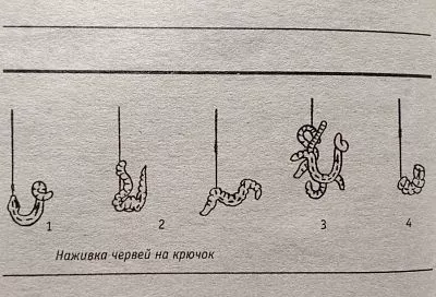 Насаживаю червя «чулком» или «пучком» — 5 способов, и рыба клюет лучше