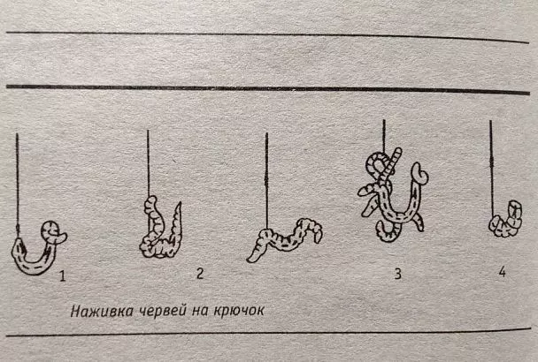 Насаживаю червя «чулком» или «пучком» — 5 способов, и рыба клюет лучше