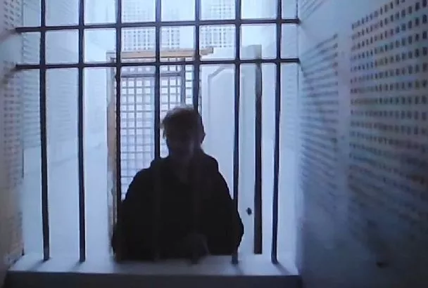 Демонстрирующая нацистскую символику жительница Сочи продолжит отбывать наказание в колонии-поселении 