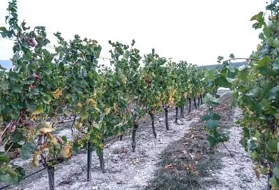 В Краснодарском крае выберут лидеров в сфере сельского, экологического и этнографического туризма