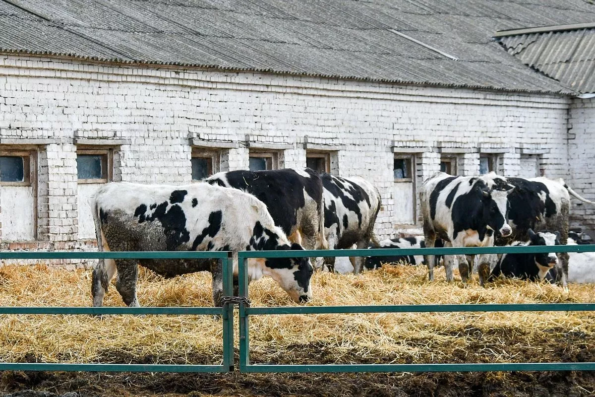 ФГУП "Кореновское"