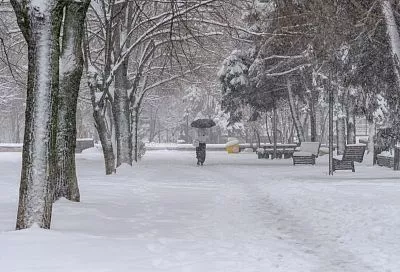 Январь на юге России стал одним из самых снежных за последние несколько десятилетий  