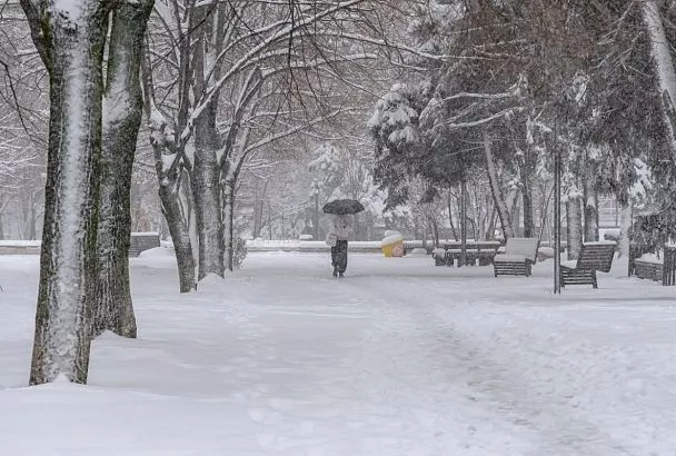 Январь на юге России стал одним из самых снежных за последние несколько десятилетий  