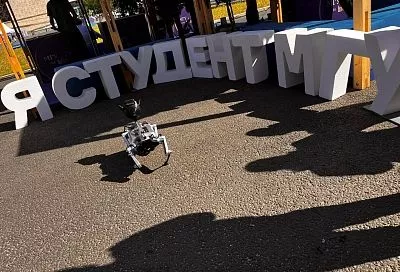 Число кибератак на российские компании может вырасти на 35% в 2026 году — прогноз Positive Technologies