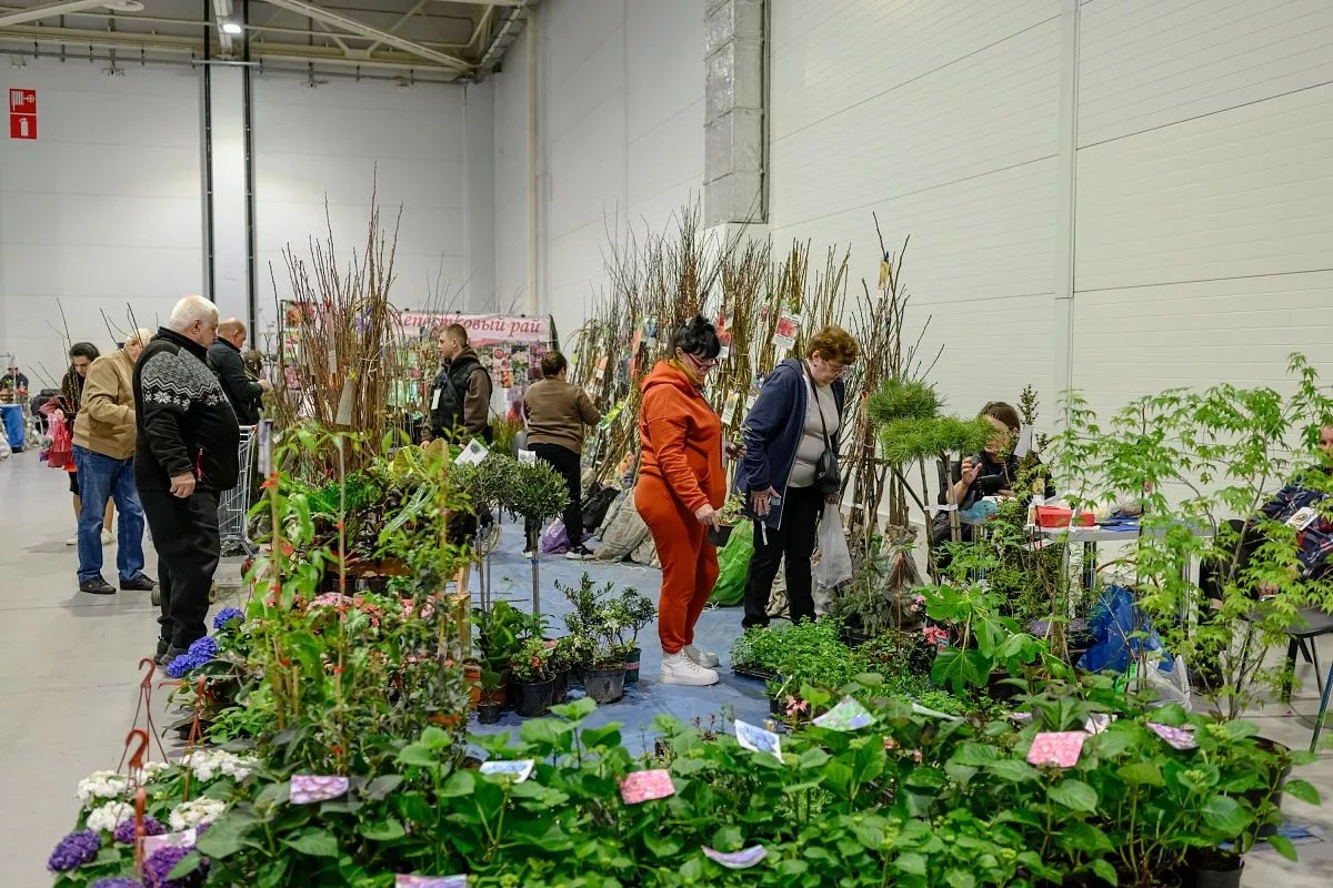 Садоводы, селекционеры и коллекционеры растений привезли на ярмарку саженцы и рассаду. Садоводы, селекционеры и коллекционеры растений привезли на ярмарку саженцы и рассаду.