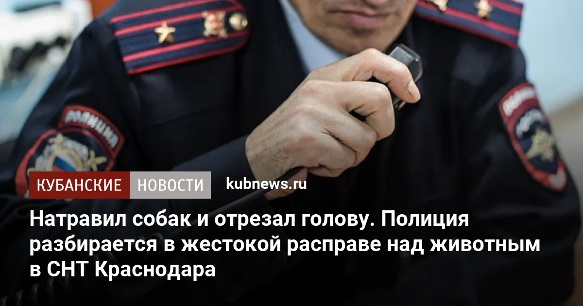 Натравил собак и отрезал голову. Полиция разбирается в жестокой расправе над животным в СНТ Краснодара
