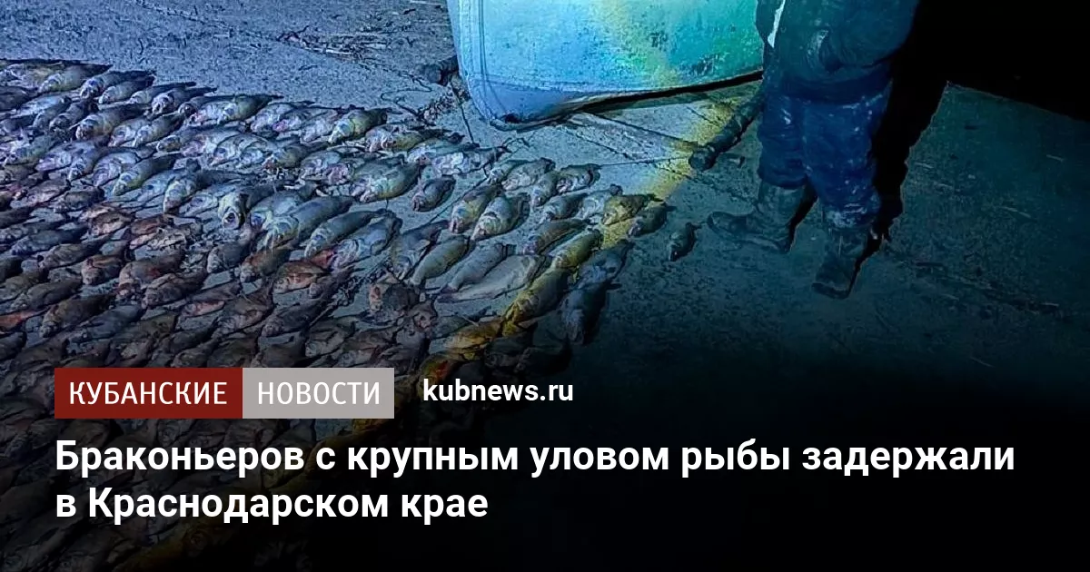 Браконьеров с крупным уловом рыбы задержали в Краснодарском крае