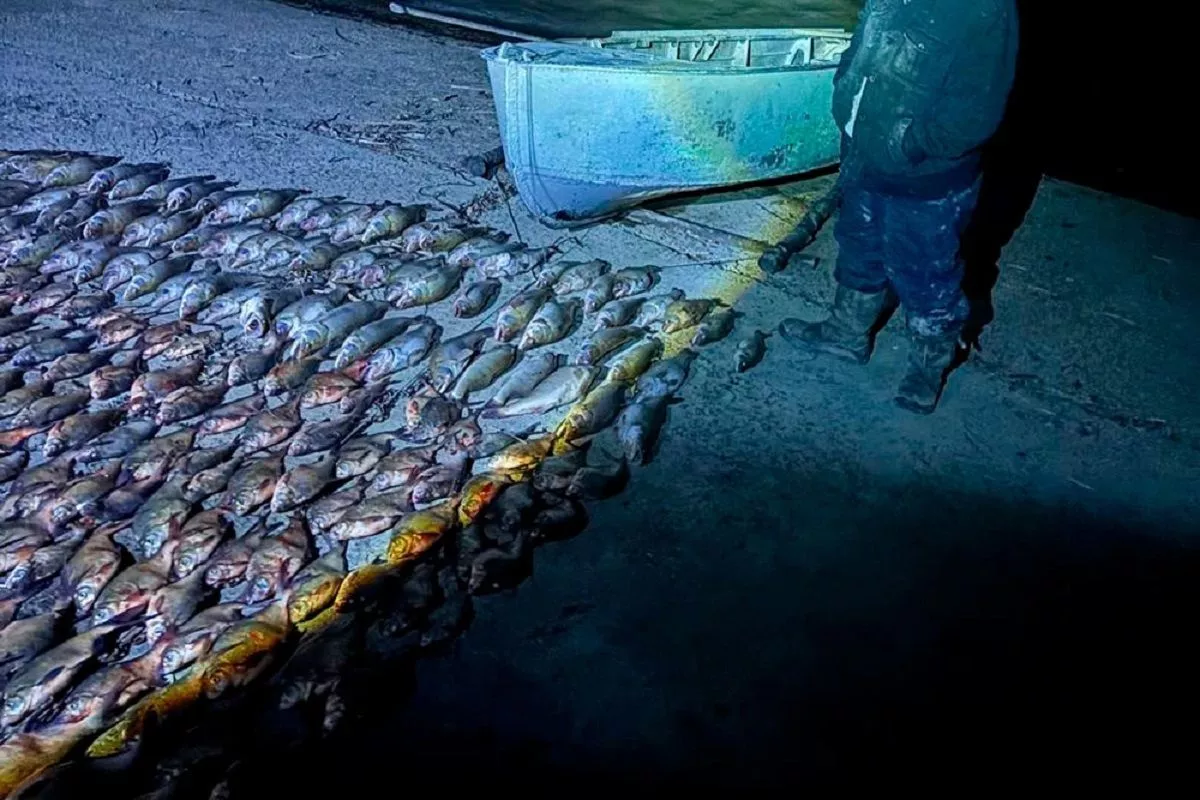 Браконьеров с крупным уловом рыбы задержали в Краснодарском крае