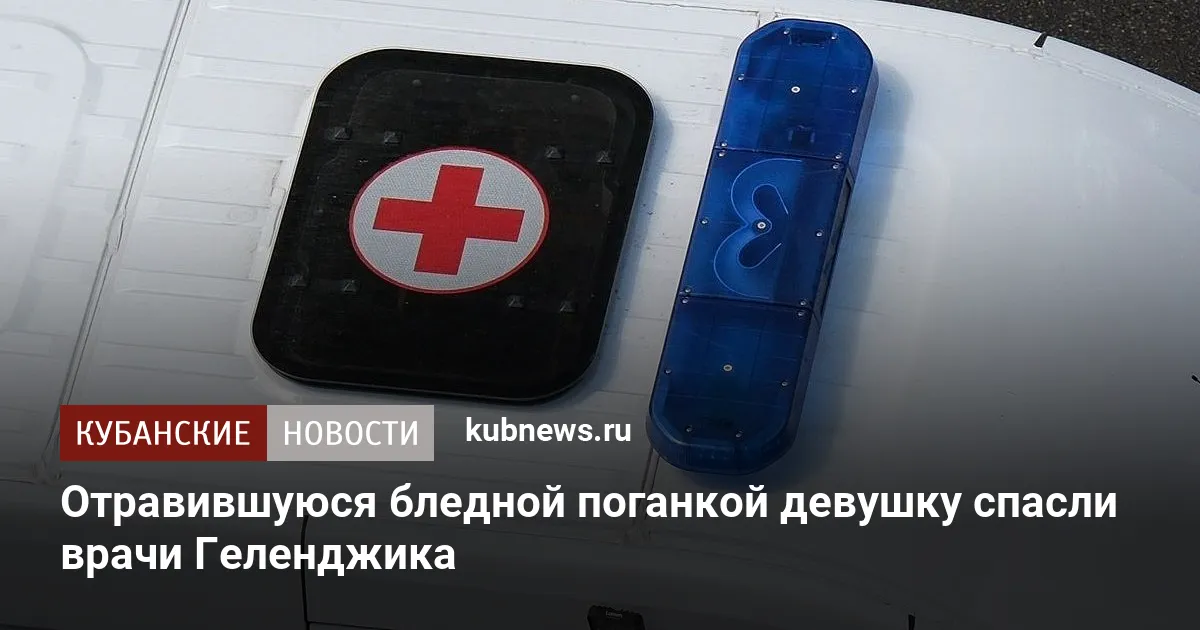 Отравившуюся бледной поганкой девушку спасли врачи Геленджика
