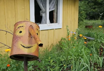 Дачников могут оставить без бань: за что могут лишить ценной недвижимости?