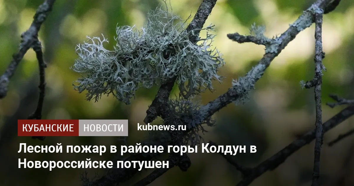 Лесной пожар в районе горы Колдун в Новороссийске потушен