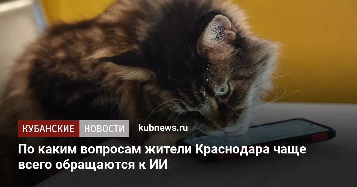 По каким вопросам жители Краснодара чаще всего обращаются к ИИ