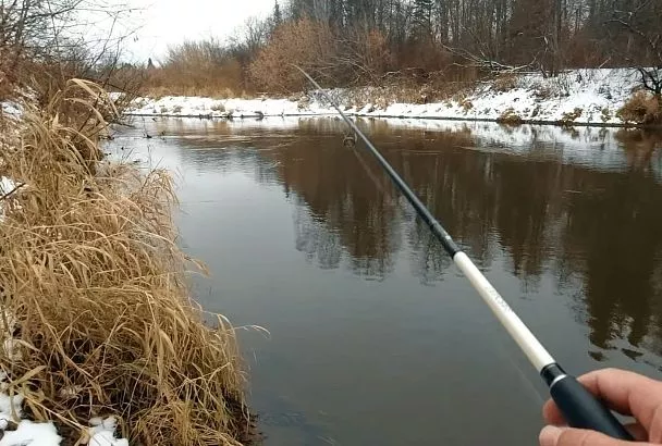 Судак рвёт их, как грелку: топ-3 расцветки джиг-приманок для весны 2025