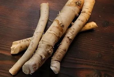 Хрен и зола спасут огород: средство, проще и эффективнее которого уже не придумать