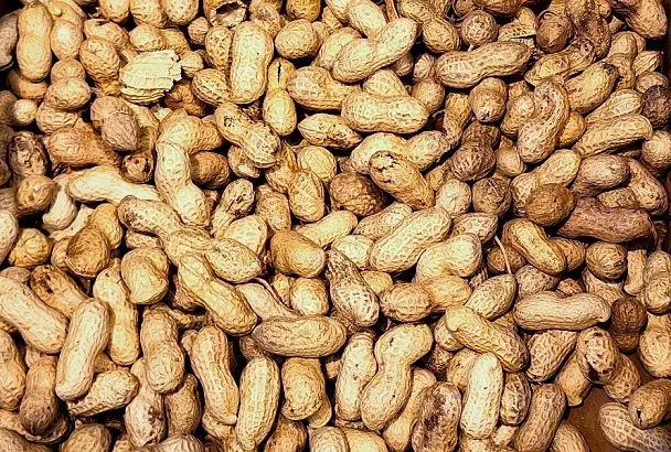 Арахис против рака и диабета: в чем сила земляного ореха