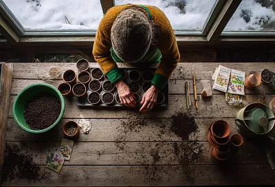 Подзимний посев: как сеять в промёрзшую землю без лишних хлопот