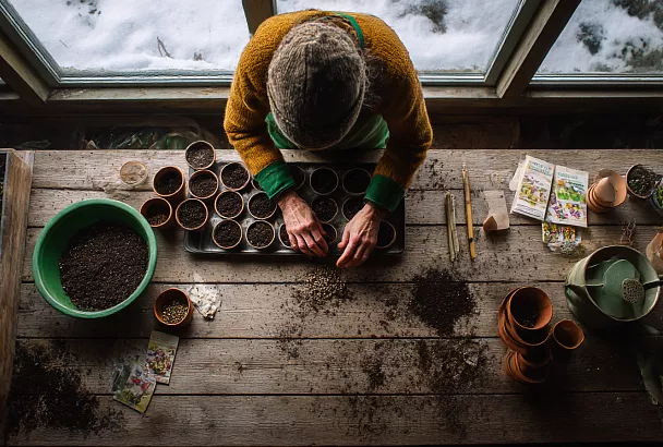 Подзимний посев: как сеять в промёрзшую землю без лишних хлопот