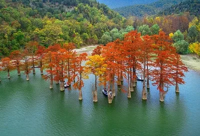 Анапские кипарисы вошли в рейтинг самых фотогеничных уголков России для туристов